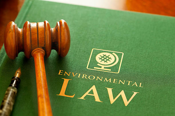 Environment Laws – a short case study.