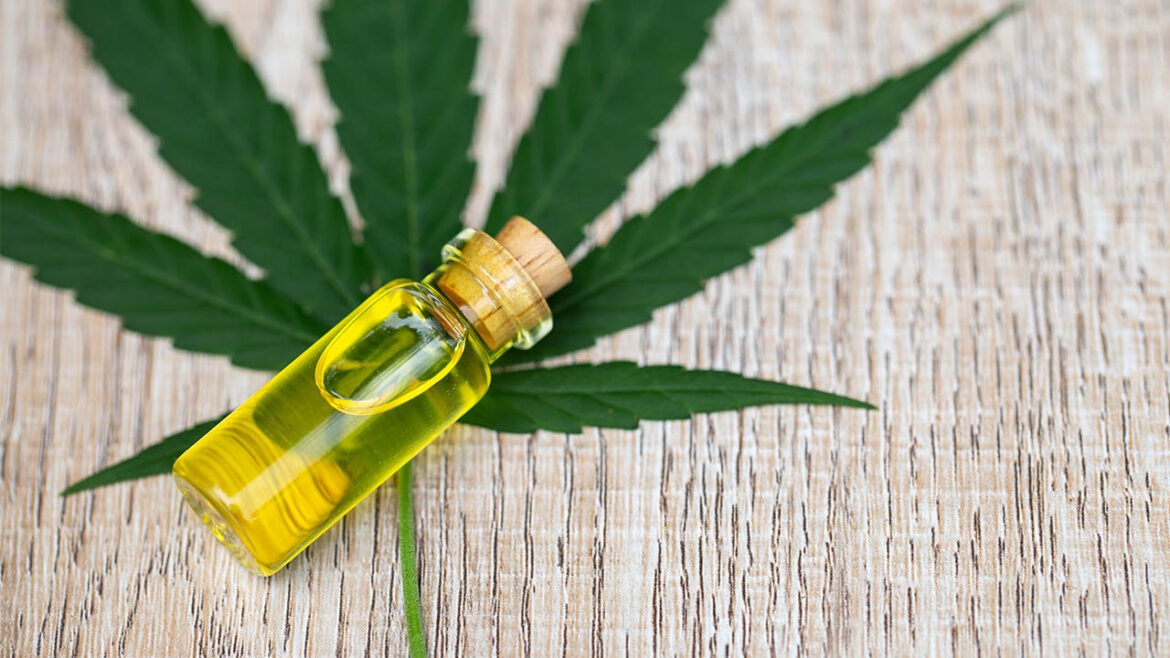 Is human cbd oil safe for dogs? The complete explanation