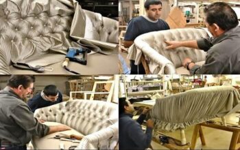 Let’s explore more about Upholstery