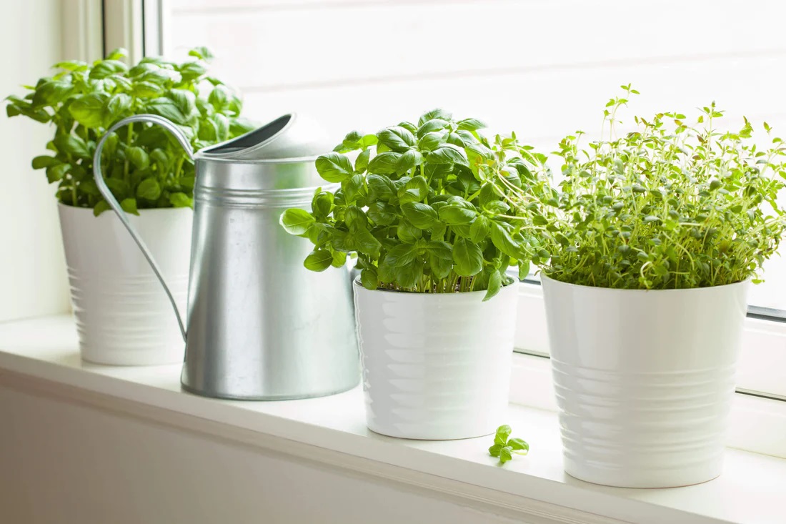 Planting Success Starts Here: Best Deals on Wholesale Pots