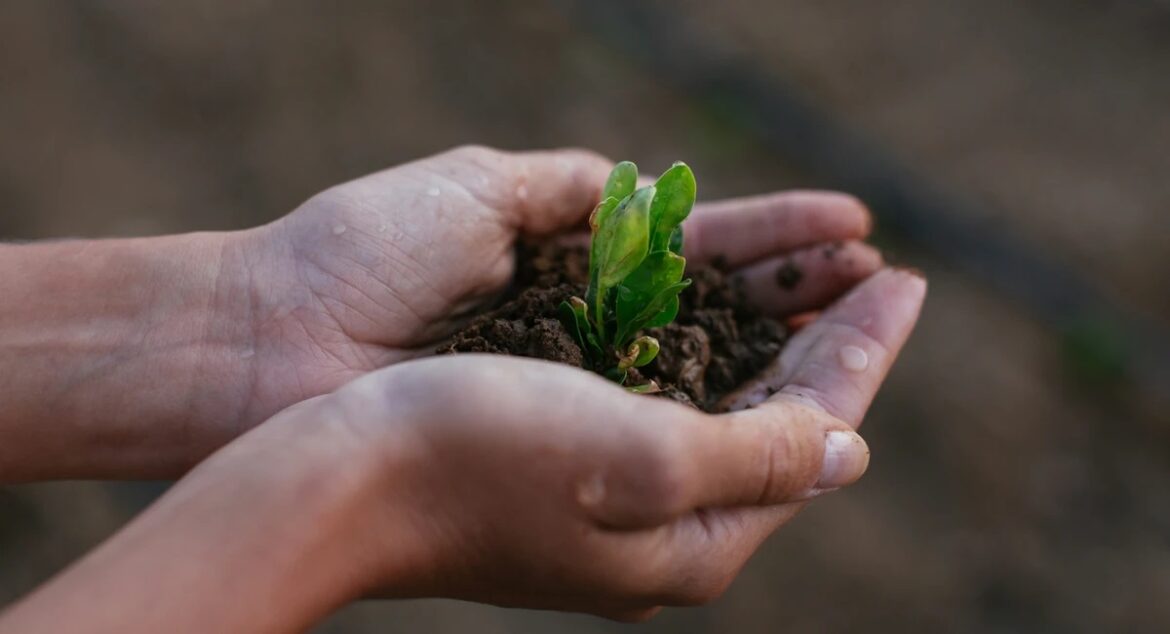 How Does Human Composting Help with Funeral Planning Personalization and Meaning?