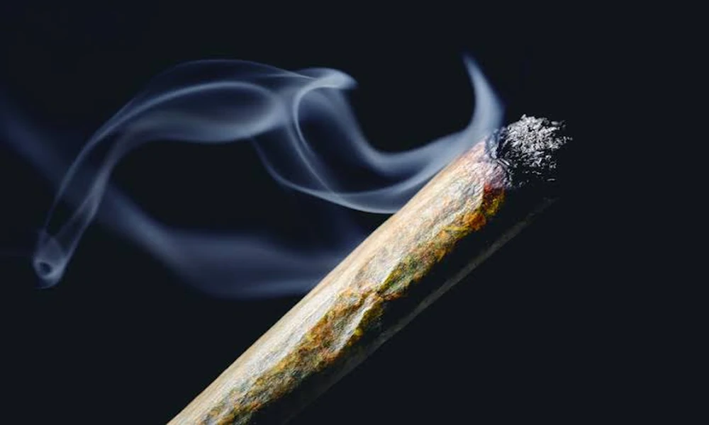 Top 5 Pre-Rolls to Try at City Leaves in 2025