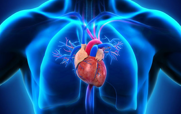 Common Diseases Treated by Cardiologists